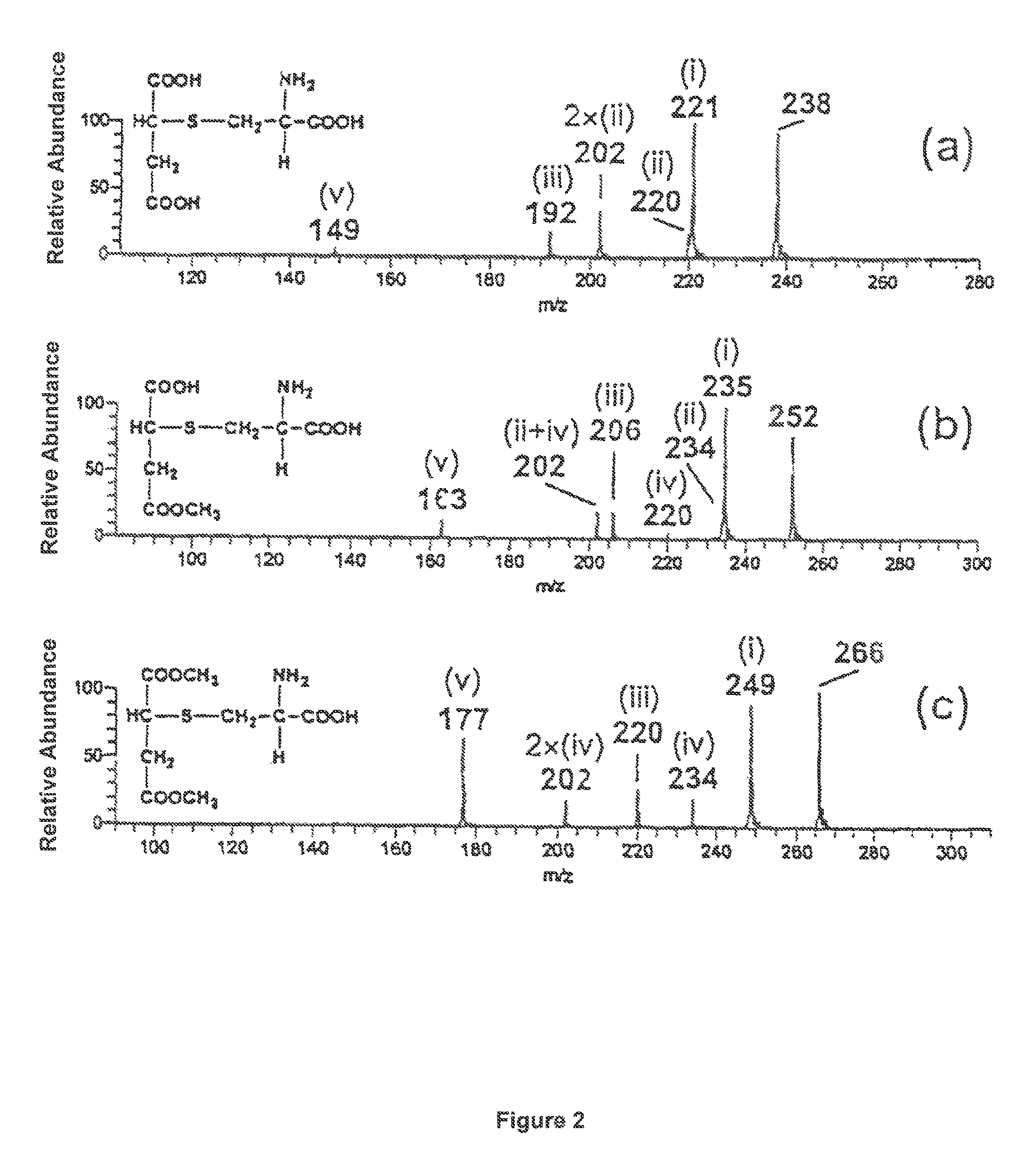 Thiosuccinic acid derivatives and the use thereof