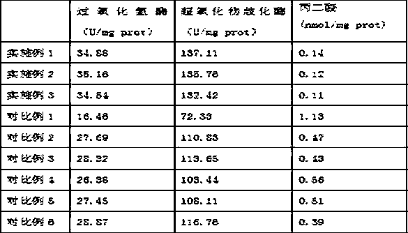 Breeding method for improving liver antioxidant function of winter young sheldrakes