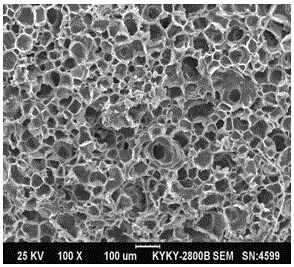 A kind of lightweight epoxy resin microcellular foam material and preparation method thereof