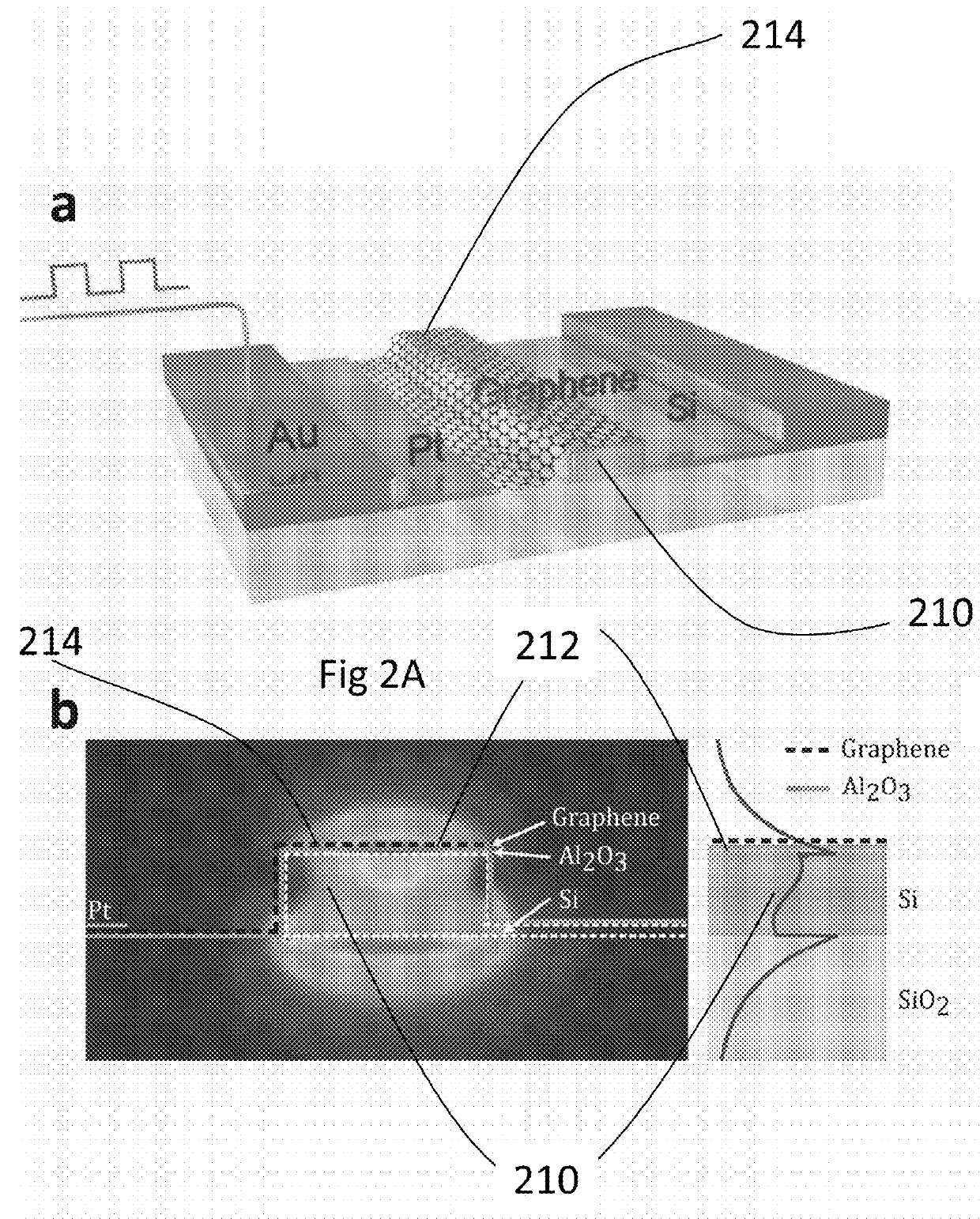 Optical modulator including grapene