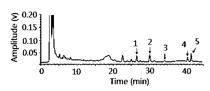 Asarum heterotropoide extract, preparation method and application of extract