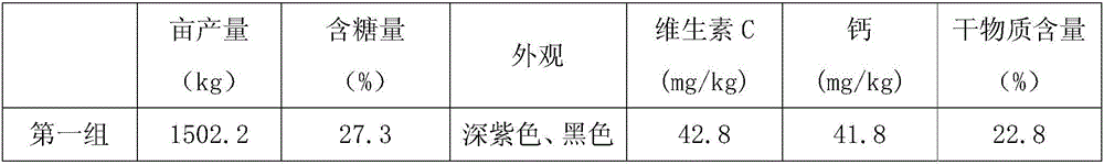 Coloring fertilizer for grape planting and manufacturing method thereof