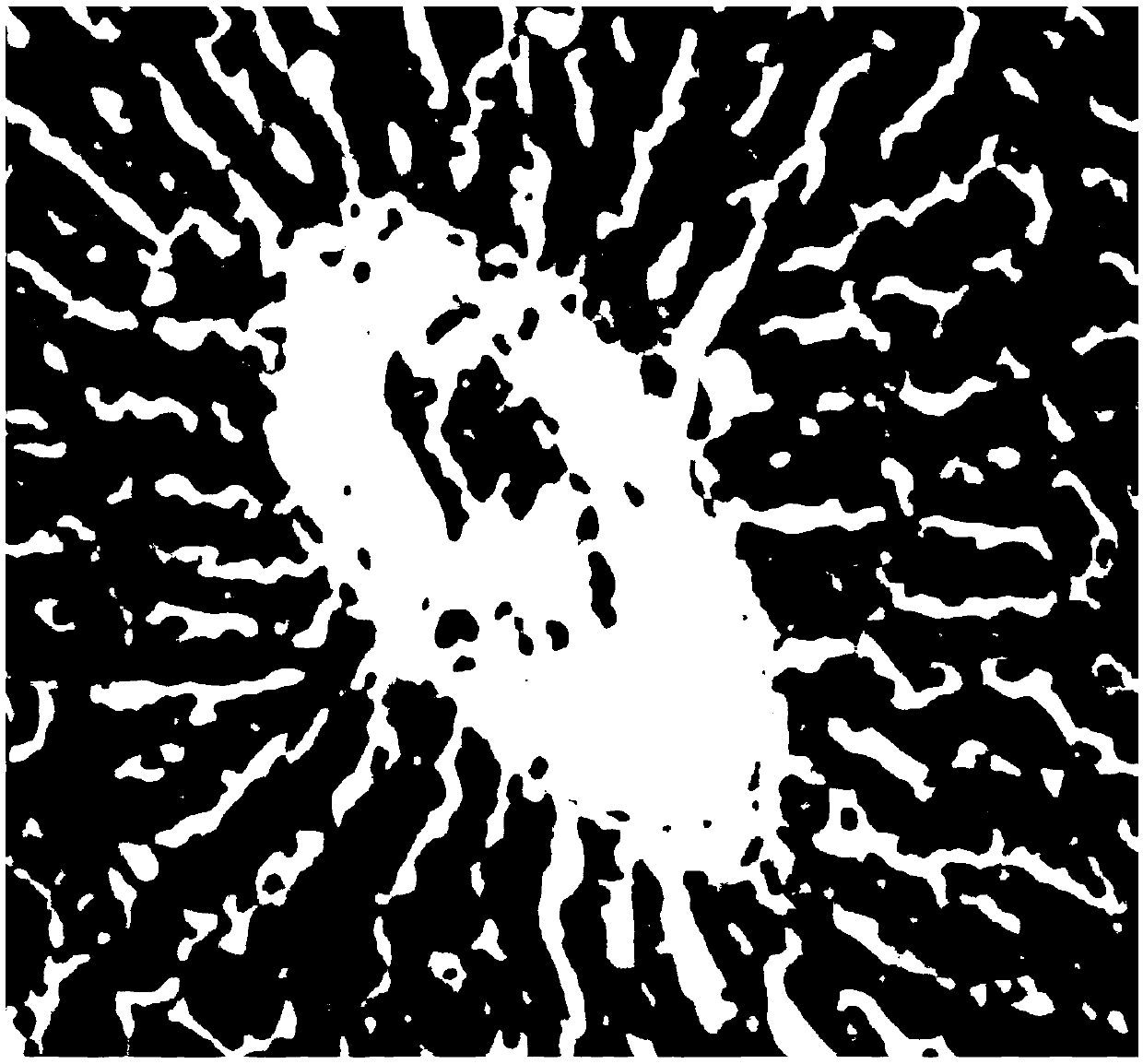 Application of pyrazolopyrimidine derivative in treatment of hepatic fibrosis