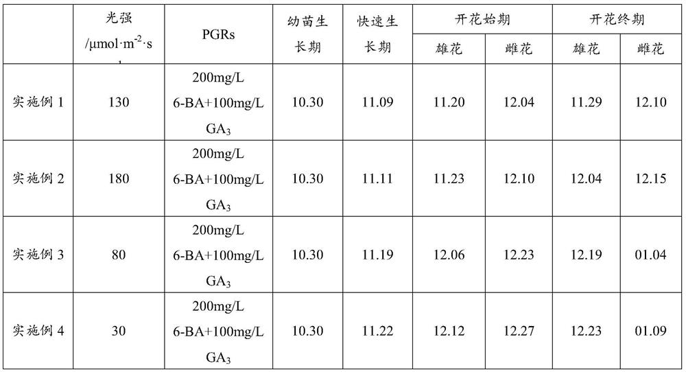 Method for promoting precocious flowering of industrial cannabis sativa and application