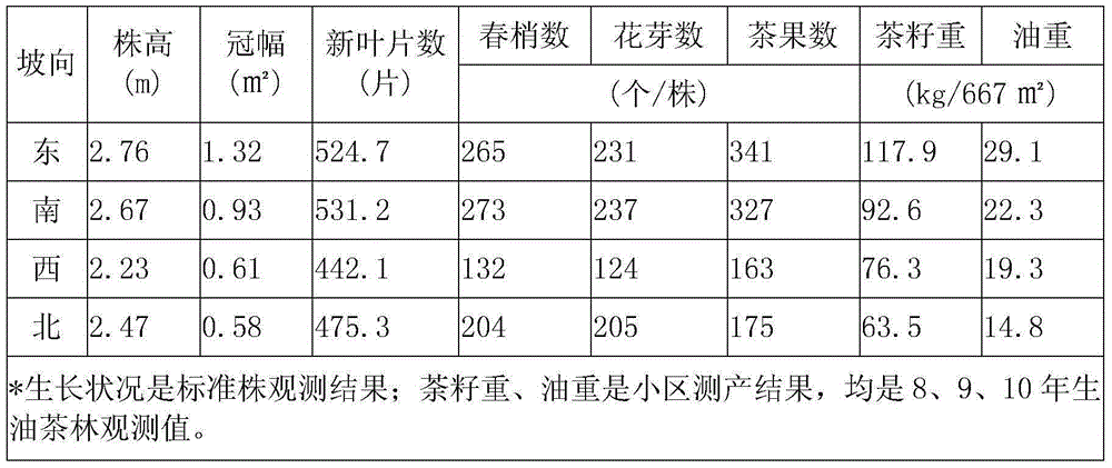 Method for rapidly fertilizing newly reclaimed camellia oleifera young forest land red in soil hilly region