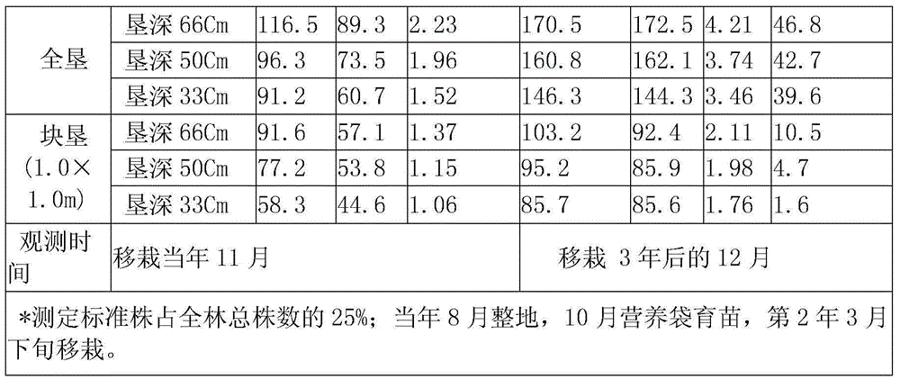 Method for rapidly fertilizing newly reclaimed camellia oleifera young forest land red in soil hilly region