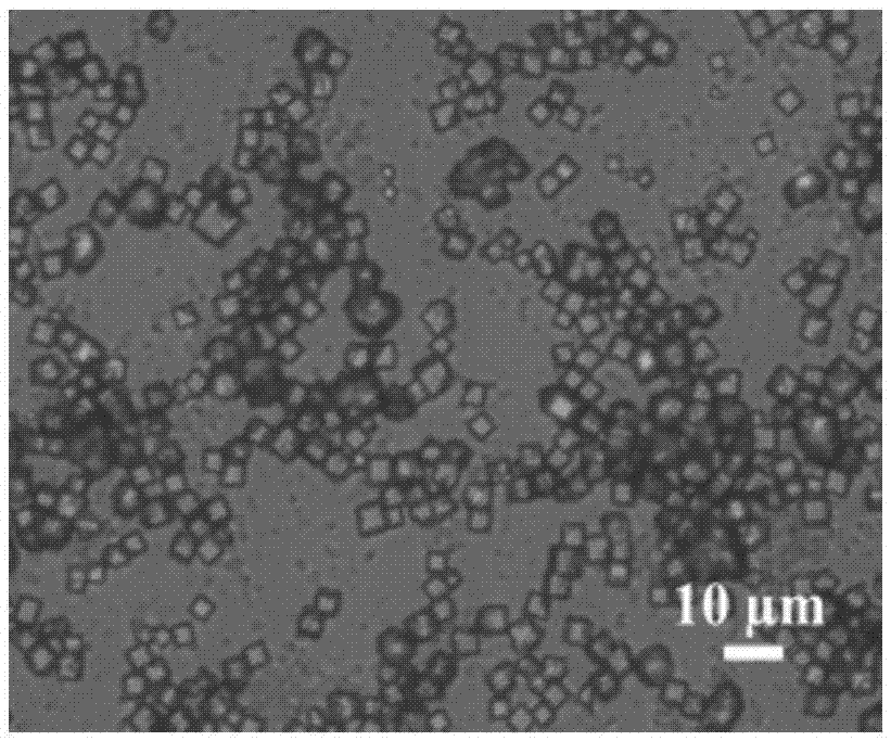 Rapid synthesis method of cyclodextrin-metal organic framework material