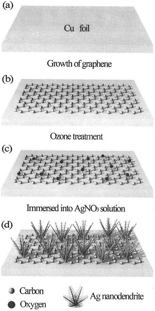 Universal method for controllable growth of nano structure on single-layer graphene film