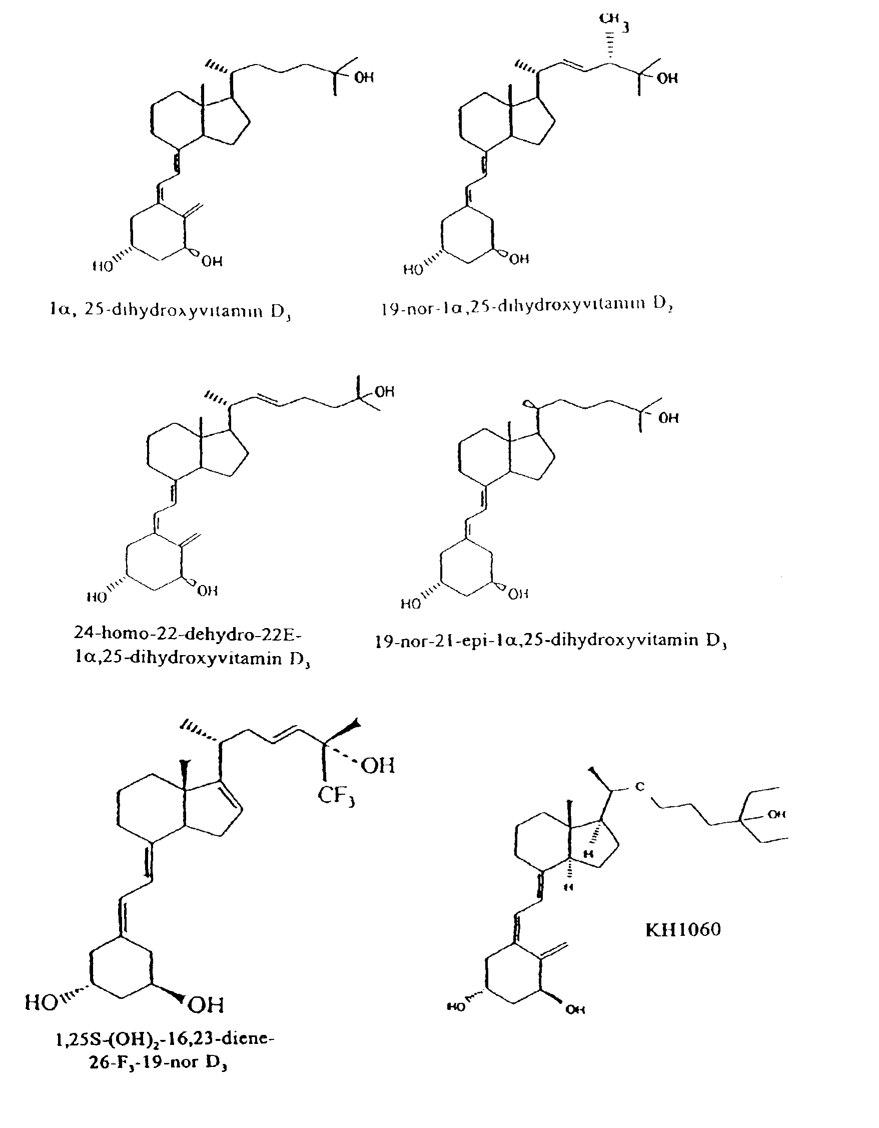 Treating vitamin D responsive diseases