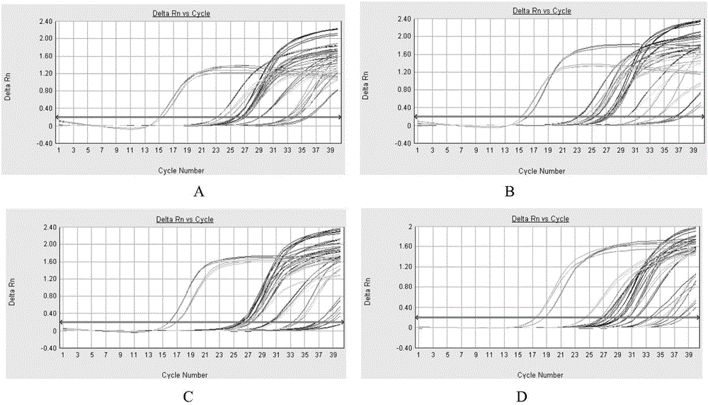 Method used for evaluating immunomodulatory effect of lactobacillus acidophilus and application of method