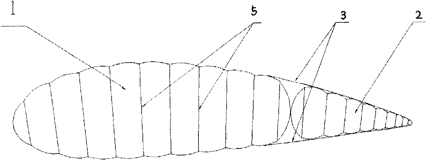 Inflatable wing with controllable sway trailing edge