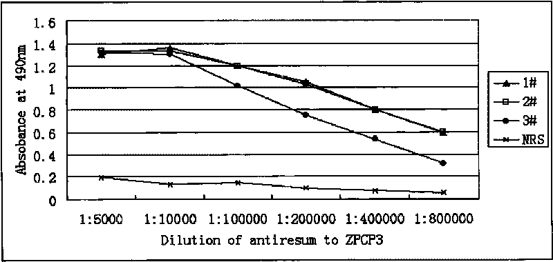 Human oocyte zona pellucida protein multi-epitope chimeric peptide antigen and preparation method thereof