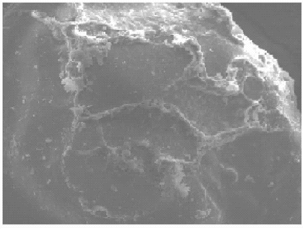 Modified phosphate casting binder and preparation method and application thereof