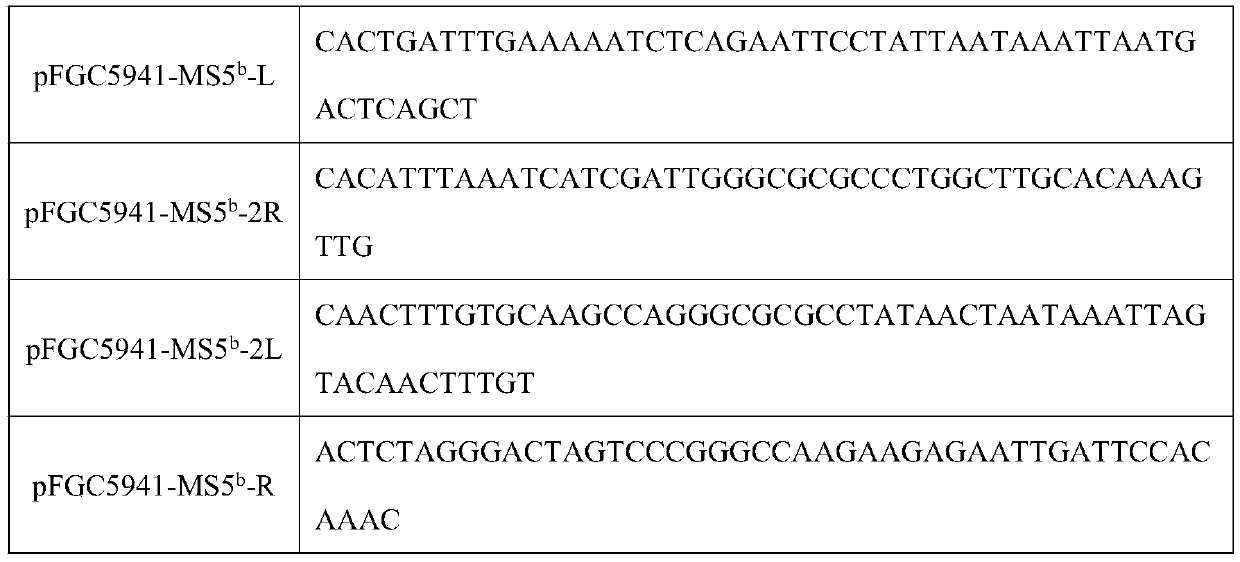 Brassica napus dominant cell nucleus male sterility gene MS5b and application thereof