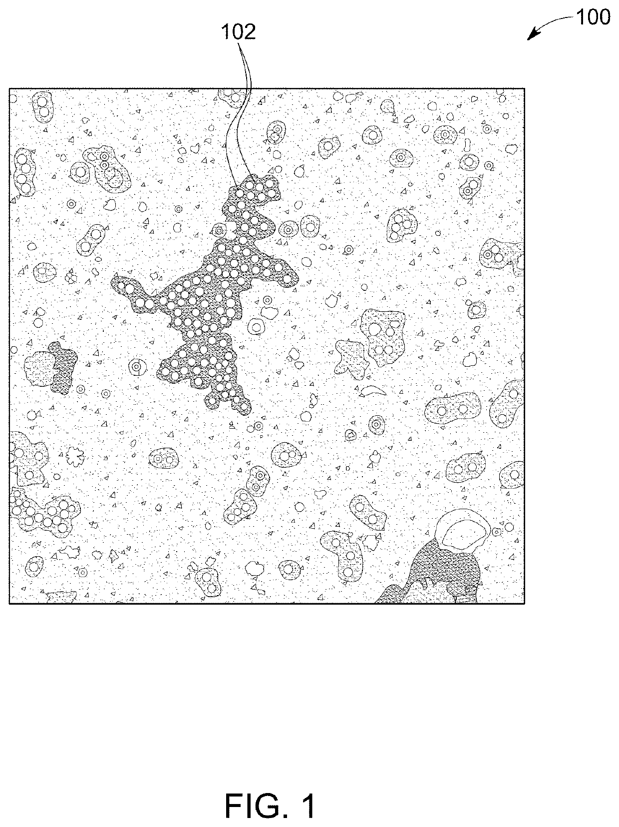 Method for automated unsupervised ontological investigation of structural appearances in electron micrographs