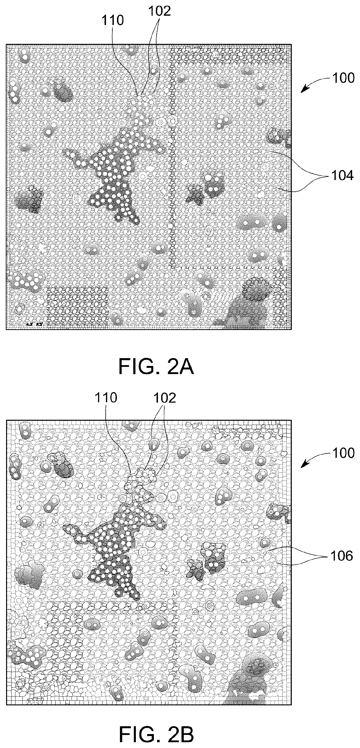 Method for automated unsupervised ontological investigation of structural appearances in electron micrographs