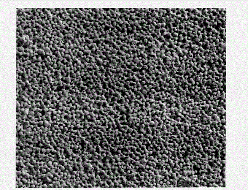 Preparation method for high-gradient porous metal film