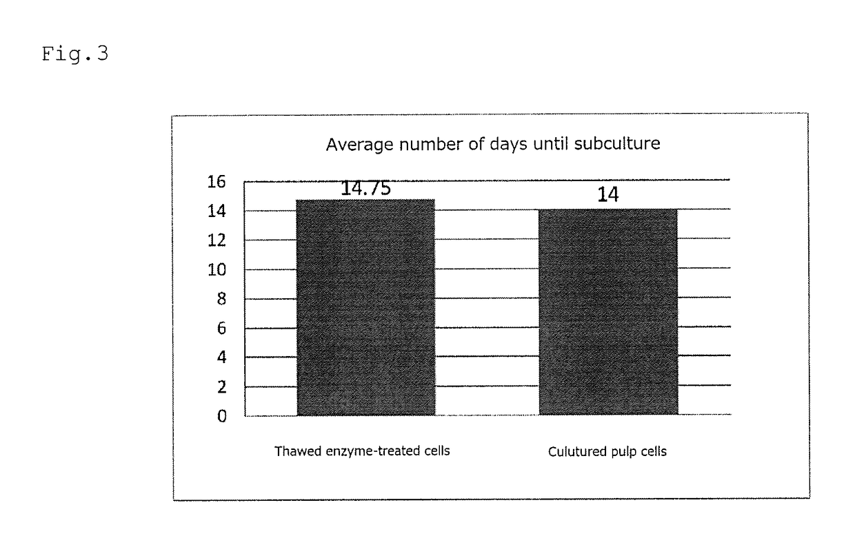 Method for producing frozen mesenchymal cells and method for producing implantable therapeutic member