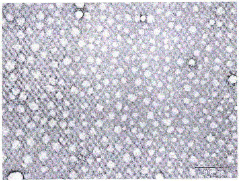 Tripterine nanosuspension and preparation method thereof