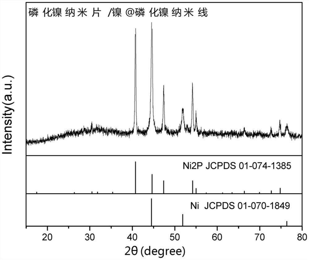 Nickel phosphide composite electrode and preparation method and application thereof