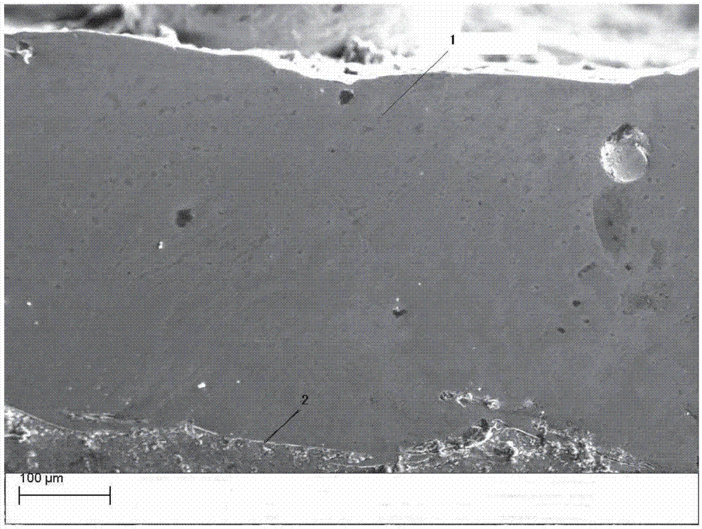 Powder for wear-resistant anti-corrosion protection of water wall tube and preparation method thereof