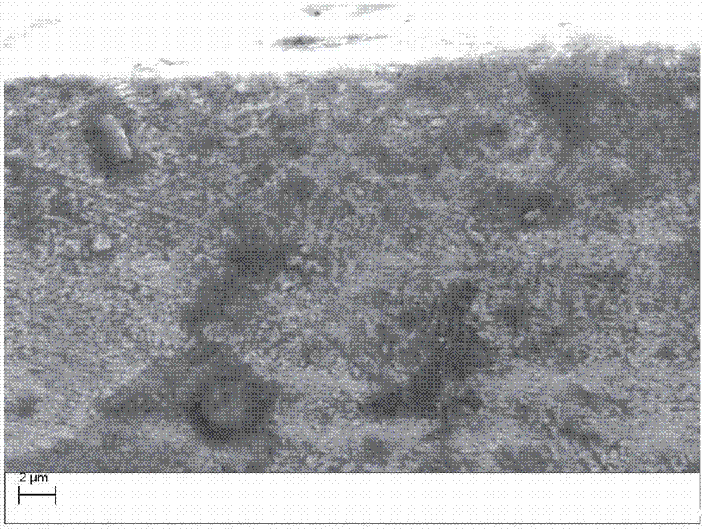 Powder for wear-resistant anti-corrosion protection of water wall tube and preparation method thereof