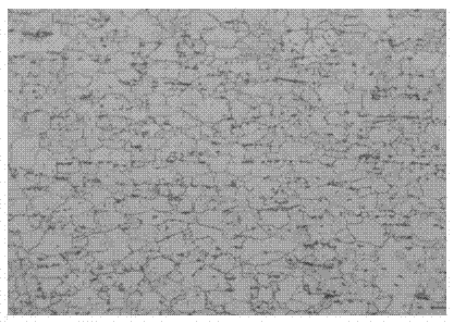 Thin plating type cold-rolled tinned steel plate and manufacturing method thereof