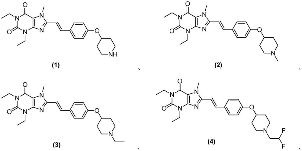 8-substituted styryl xanthine derivative and application thereof