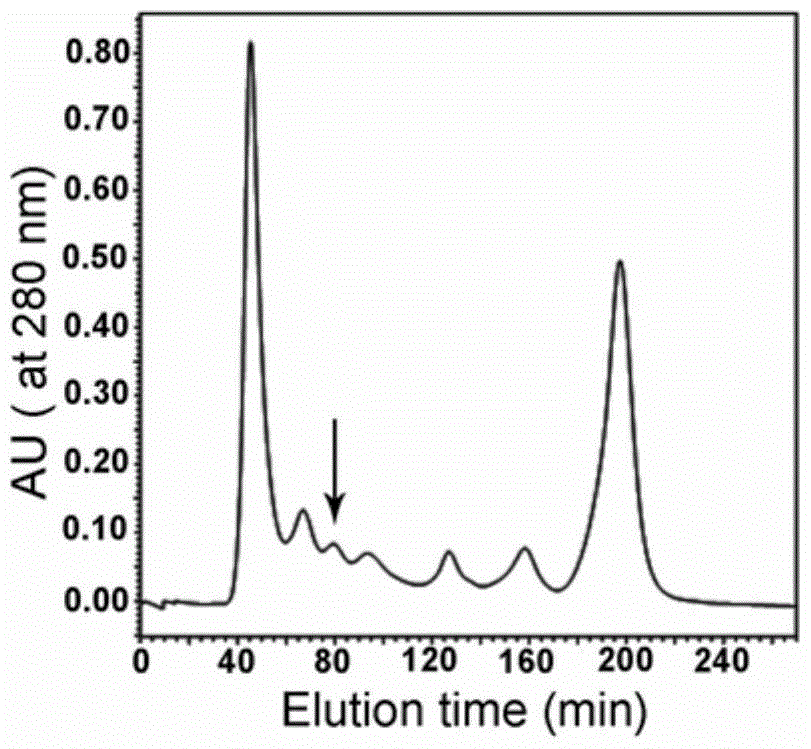 A kind of toxin protein and its purification method