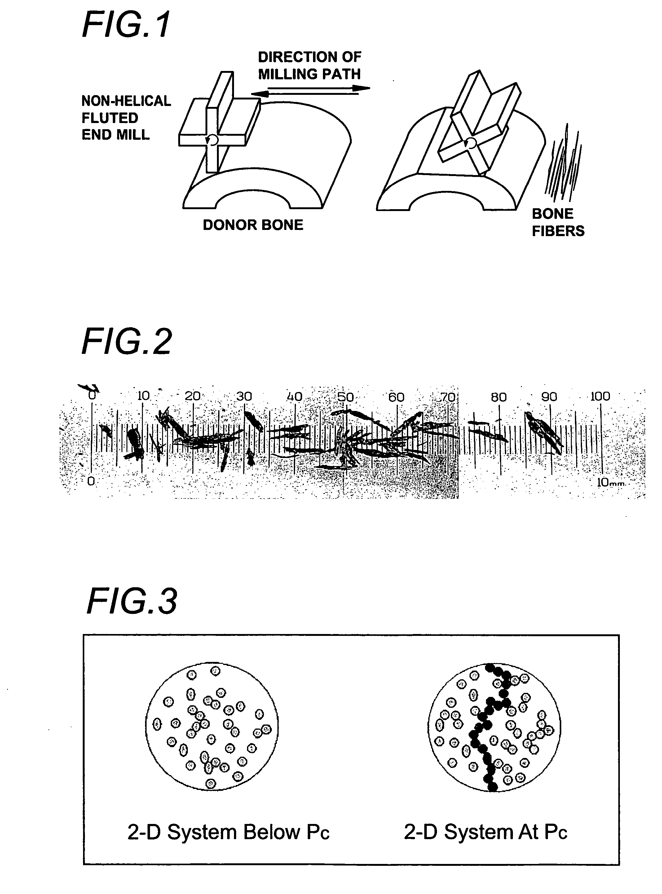 Cell permeable structural implant