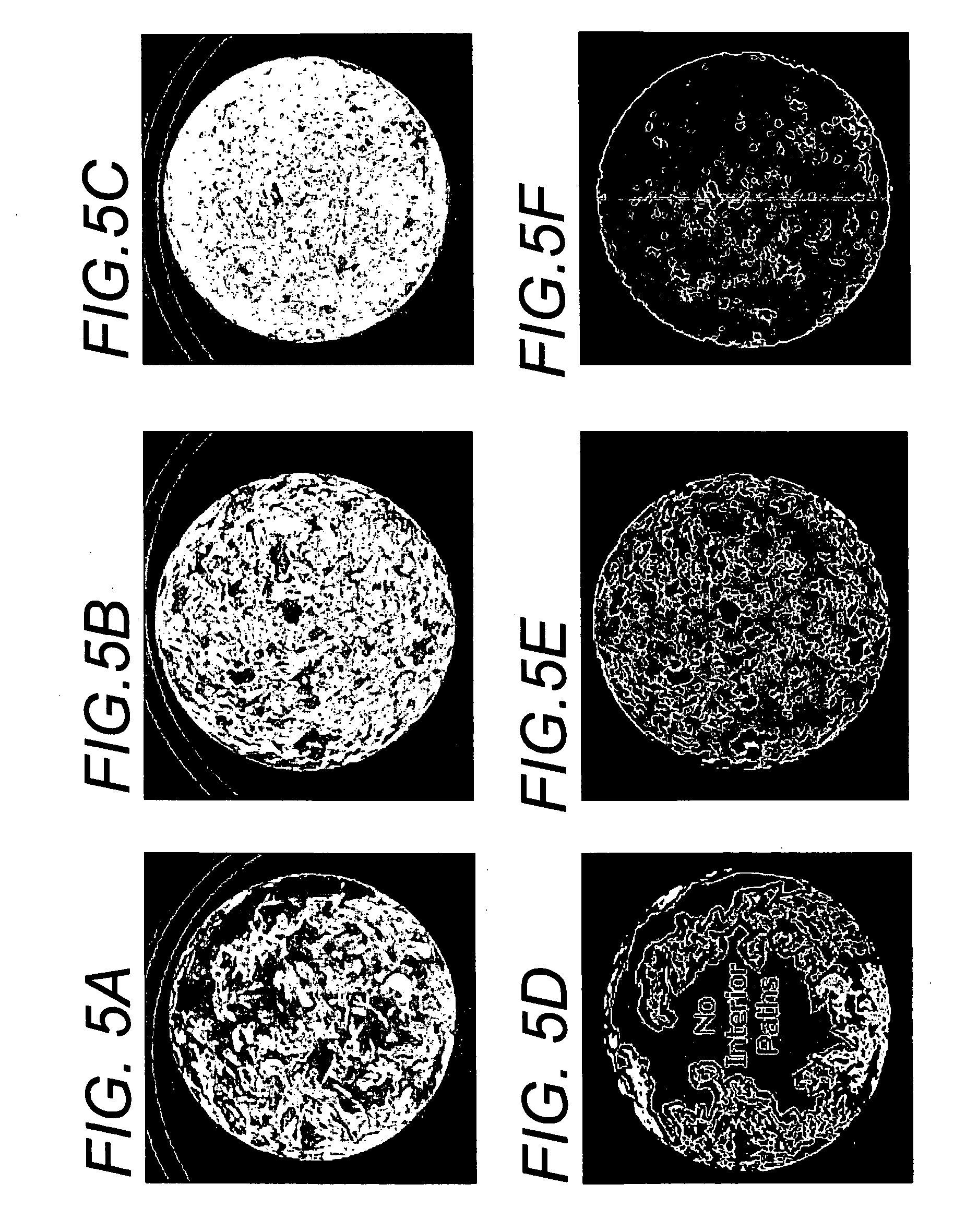 Cell permeable structural implant