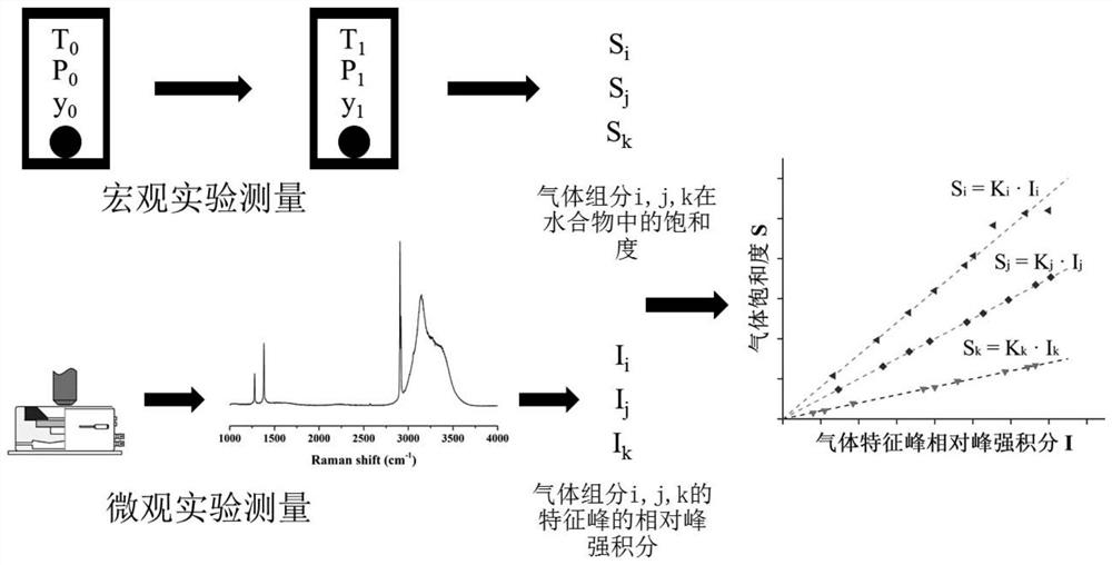 Method for measuring gas saturation of gas hydrate