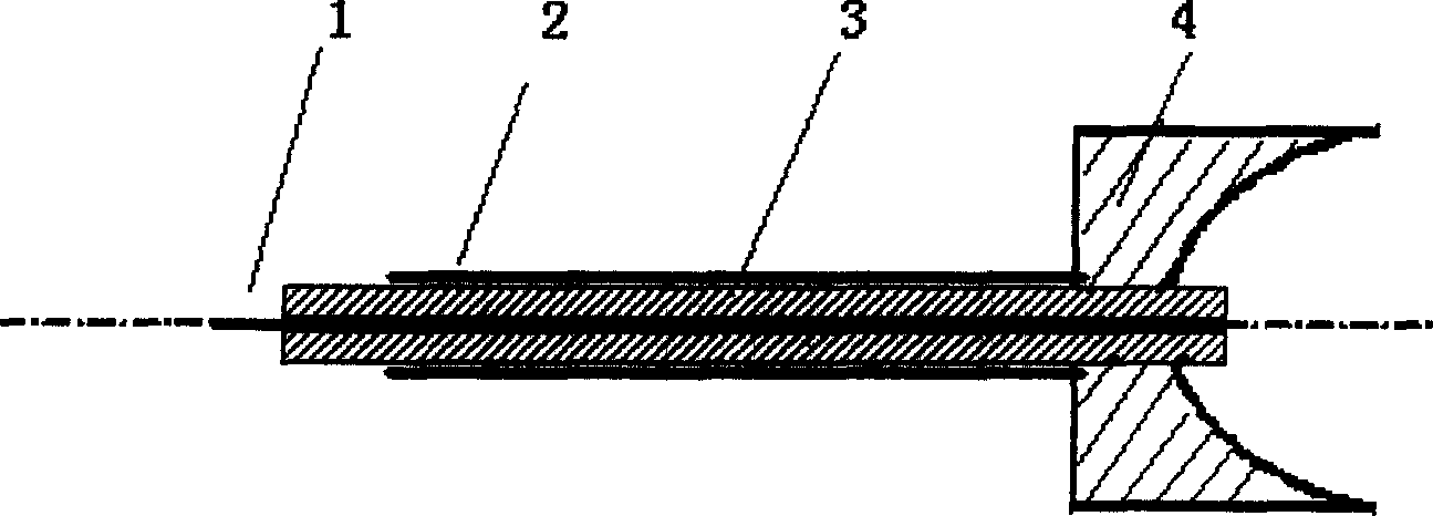 Pulse discharge electrode