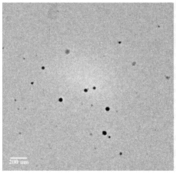 Nanometer selenium hydrosol having antitumor activity, preparation method, preservation method and applications thereof