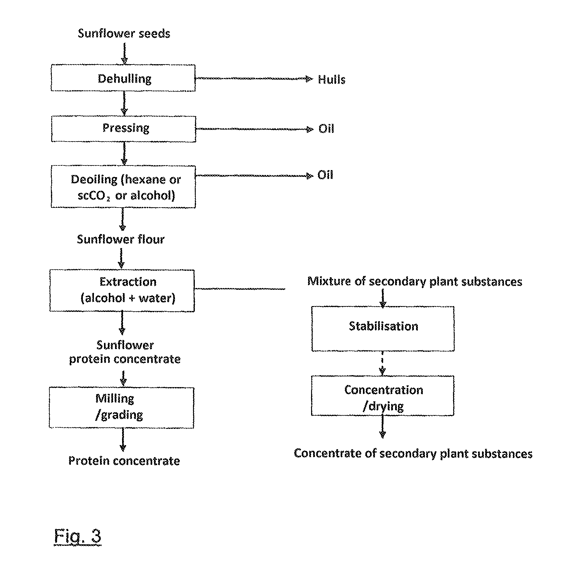 Protein preparations from sunflower seeds and production thereof