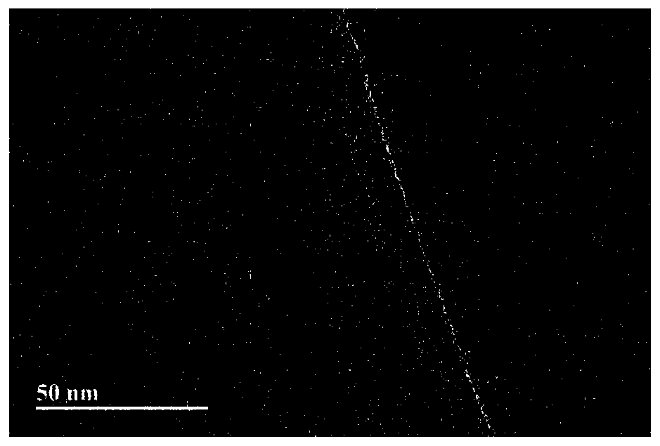 Alloy nanoparticles, preparation method and applications thereof