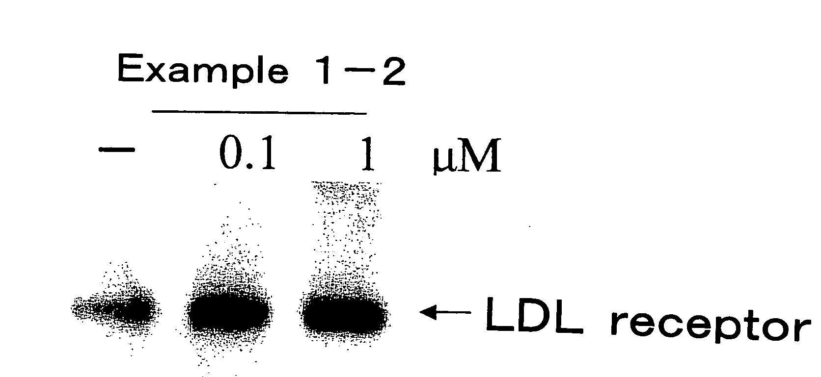 Novel Sulfonamide derivative