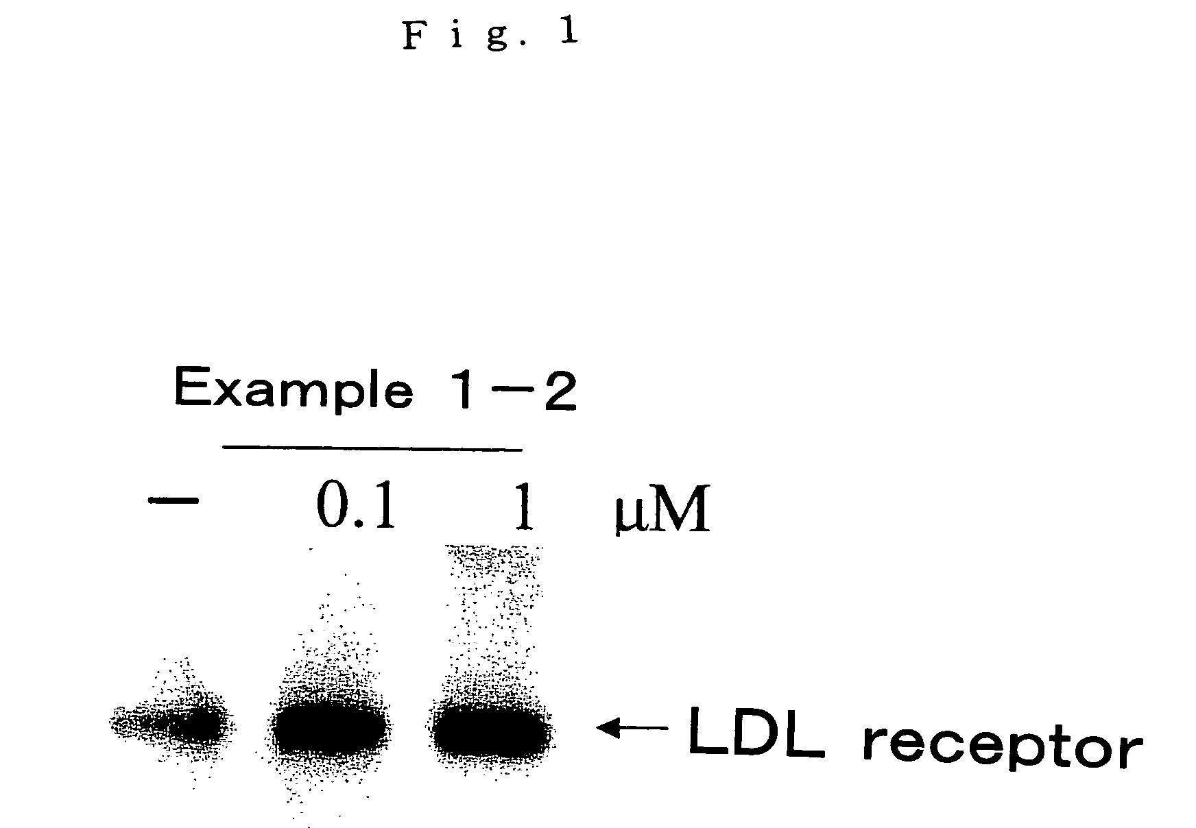 Novel Sulfonamide derivative