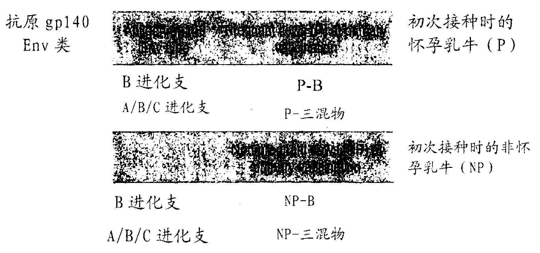 Methods and compositions for inhibiting HIV transmission