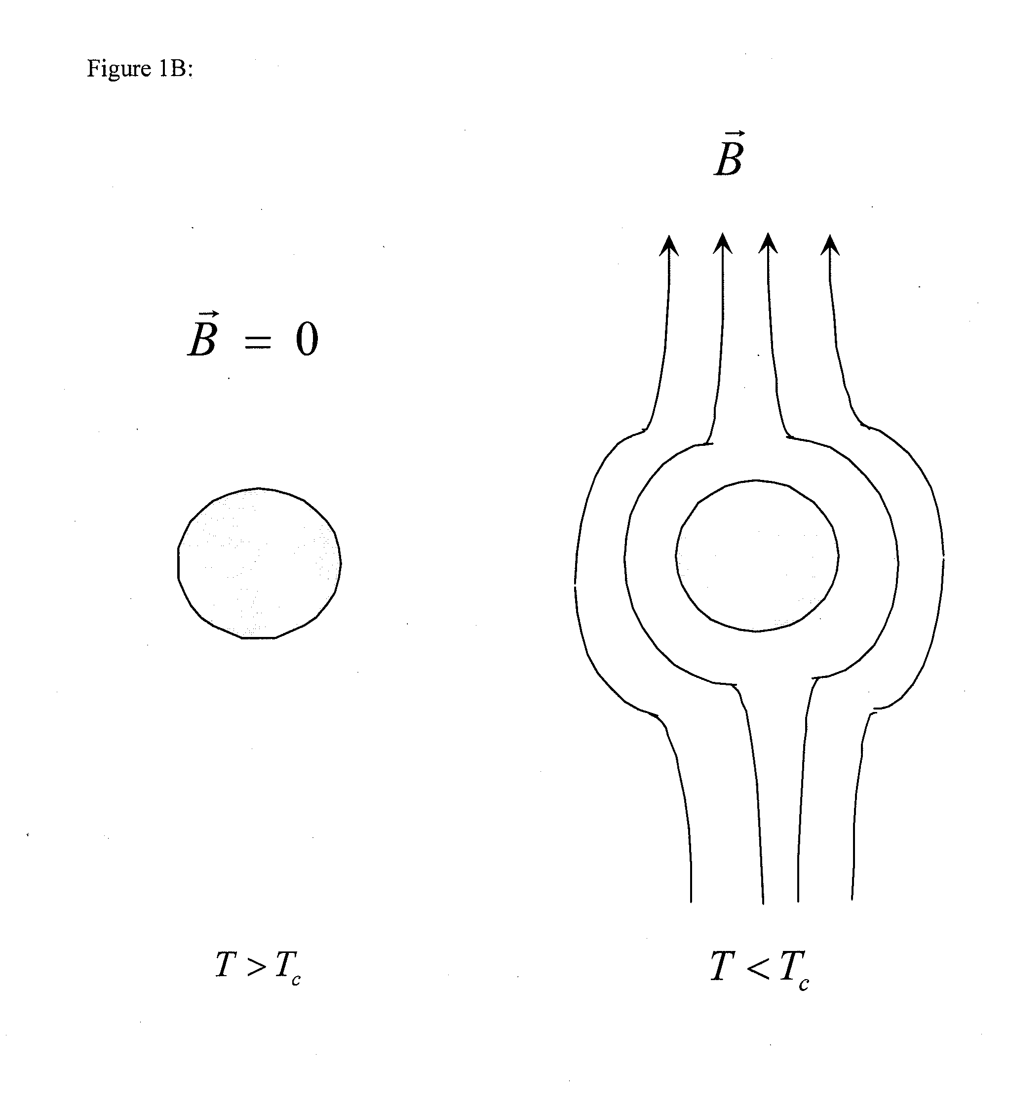 Superconducting motor