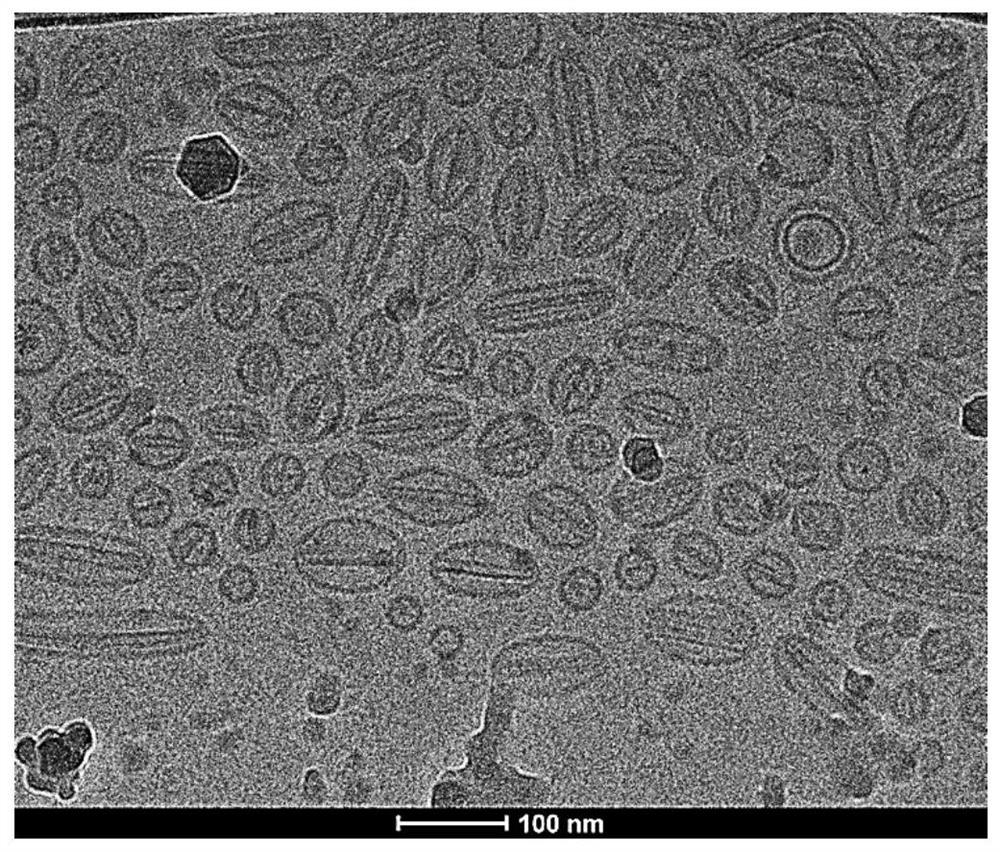 Dasatinib liposome preparation and preparation method thereof