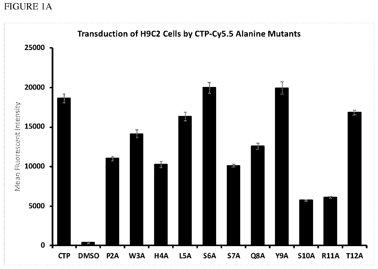 Cardiac-specific targeting-peptide (CTP), compositions, and uses thereof