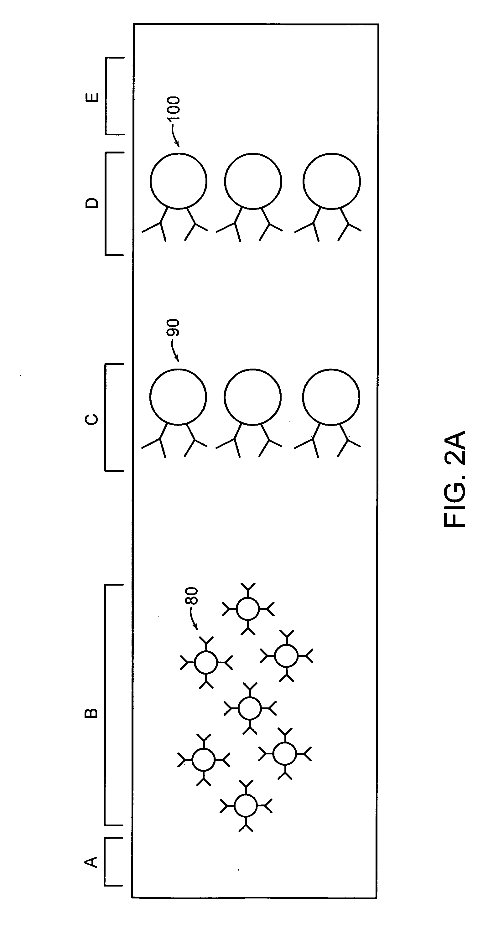 Lateral flow format, materials and methods