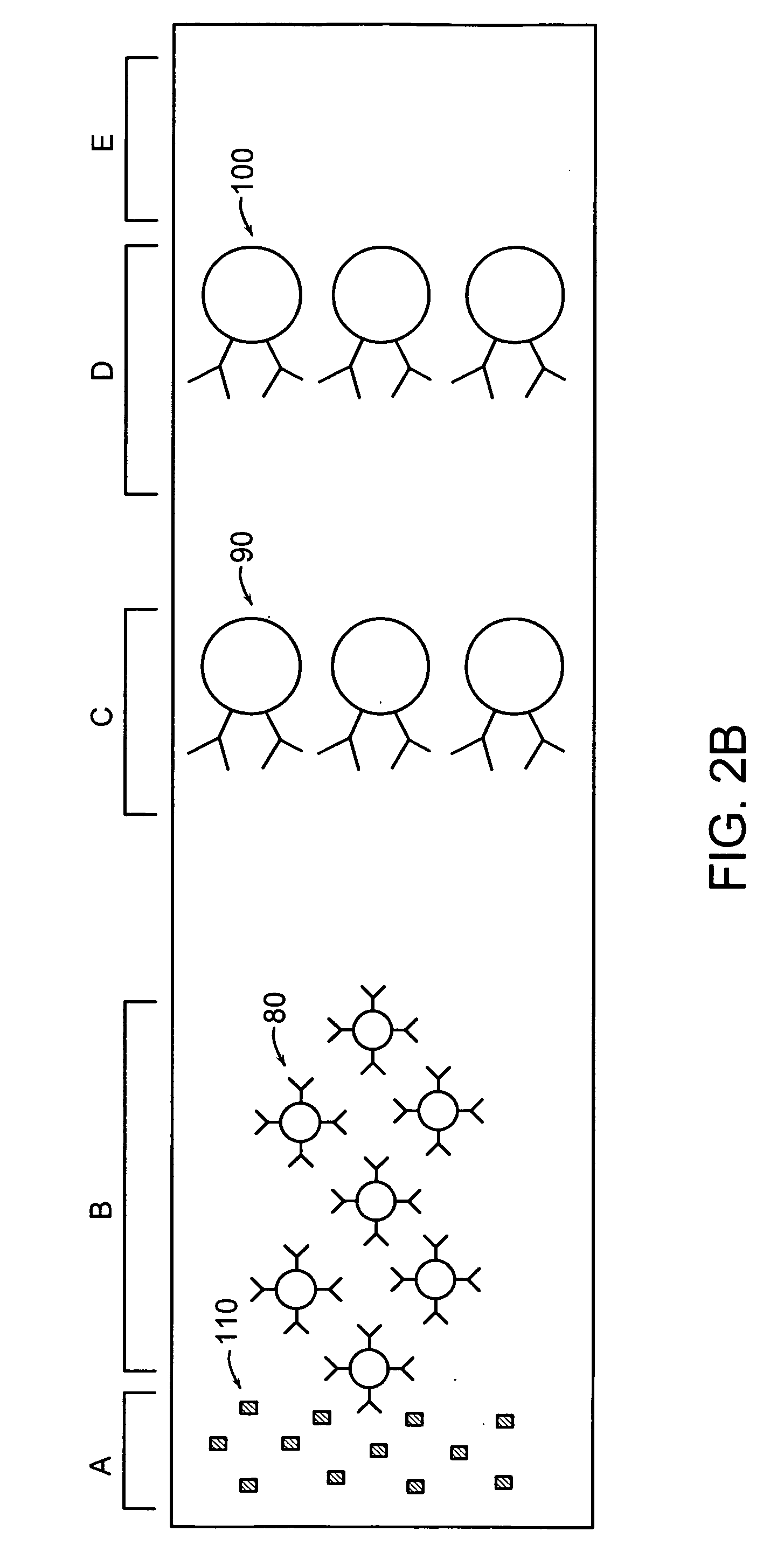Lateral flow format, materials and methods