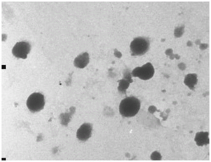 Galactose-mediated oridonin albumin nanoparticle and preparation method thereof