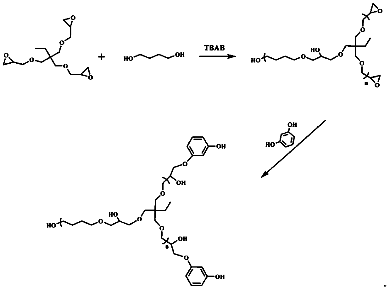 Polyhydroxy hyperbranched polymer, preparation method of polymer and application of polymer in dental composite resin