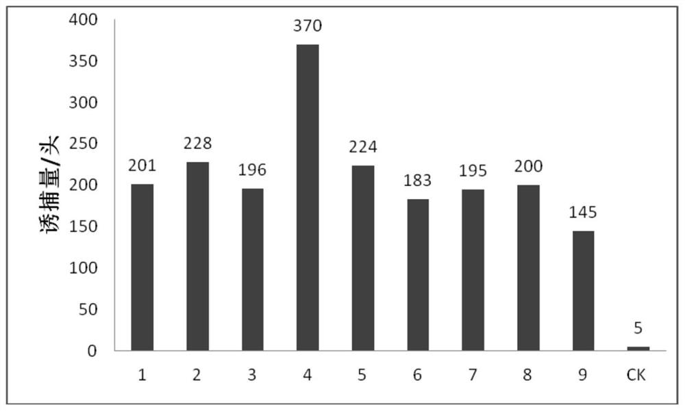 Attractant composition for preventing and treating spodoptera frugiperda and application of attractant composition