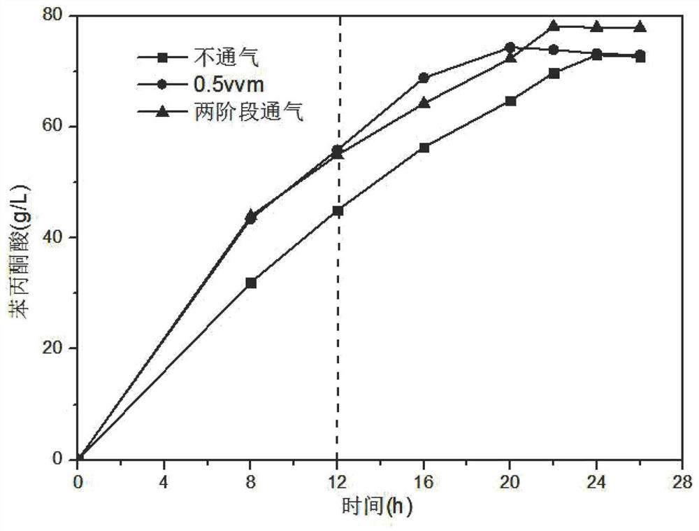 A kind of process of enzymatic conversion of phenylalanine to produce phenylpyruvate