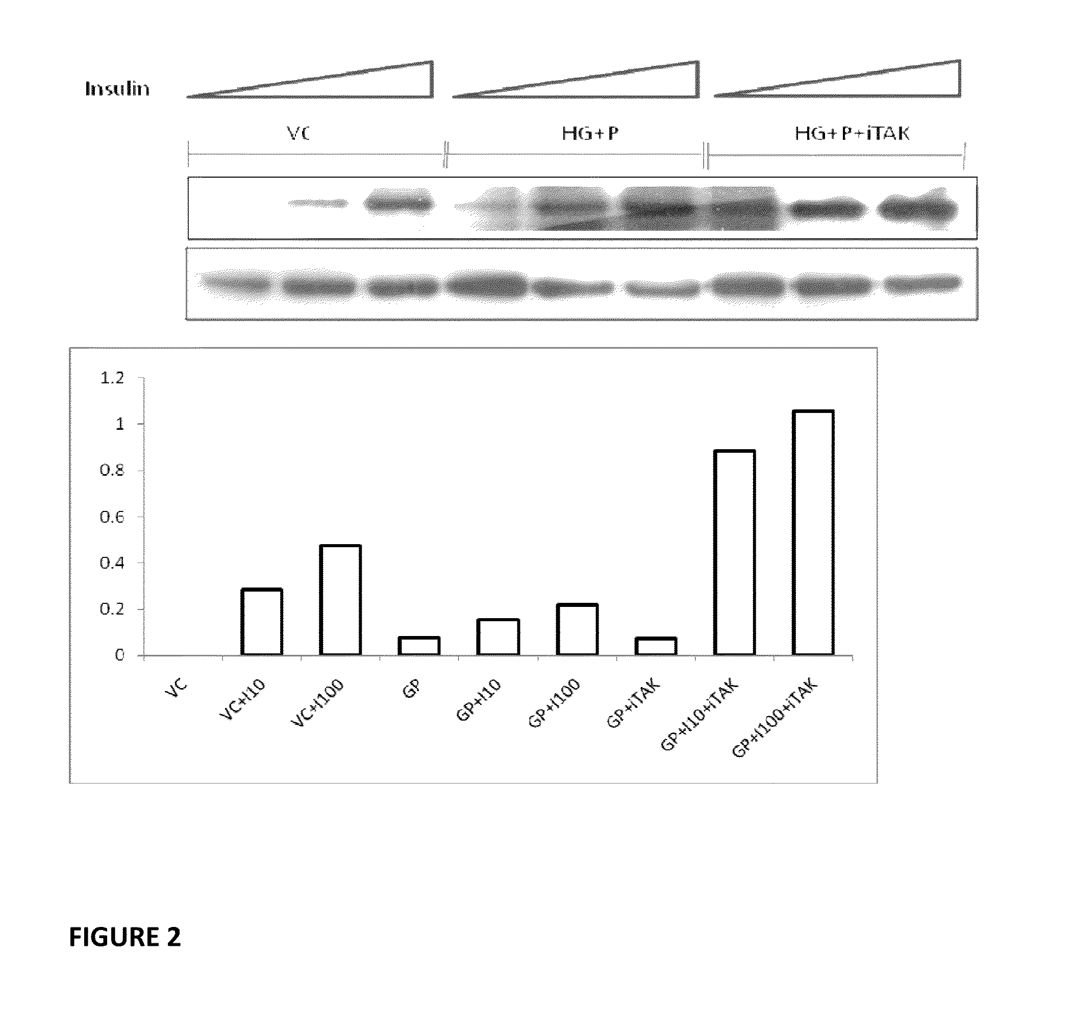 Use of TAK1 Inhibitor to Achieve Glycemic Control in Mammals