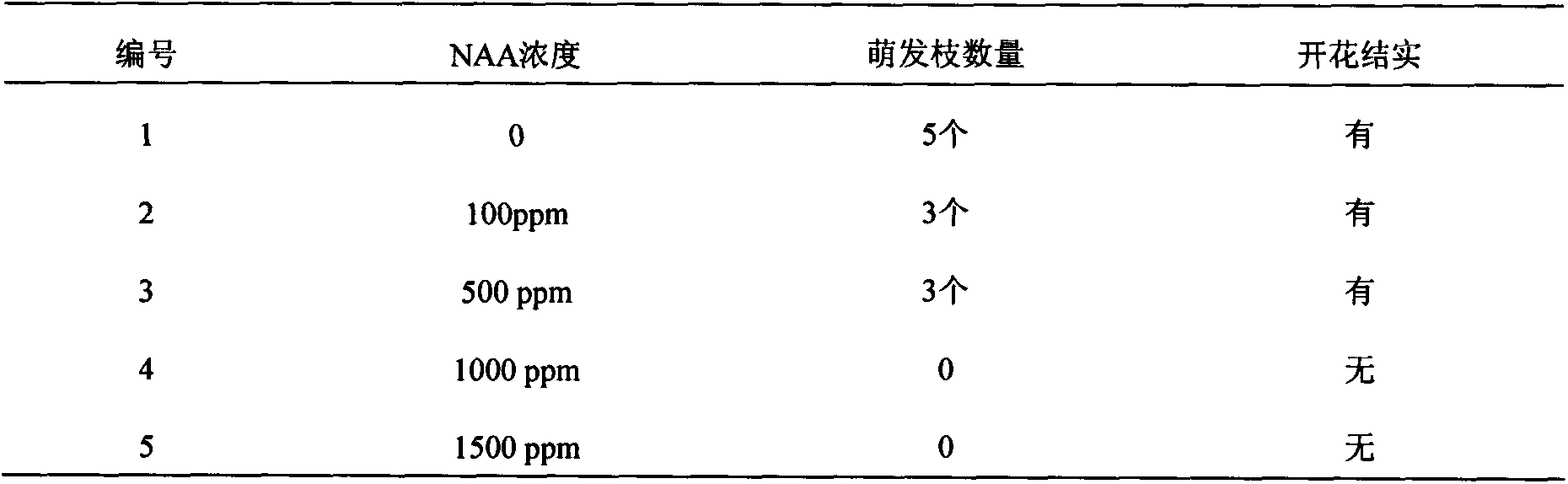 Fixed-stem cultivation method for annual cutting seedling of Yakushima lagerstroemia